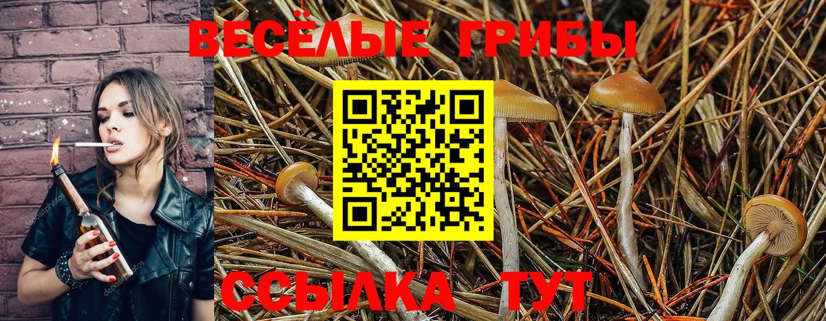 Галлюциногенные грибы Cubensis  Вход с VPN  наркотики  Галлюциногенные грибы мухоморы  Гулькевичи 